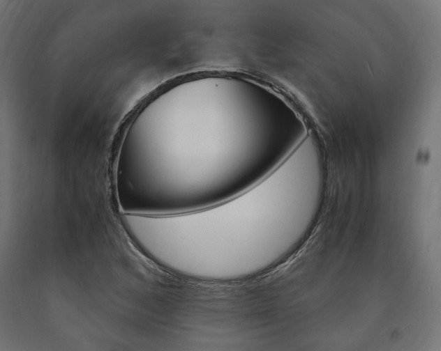 X0000091011168200708021400
