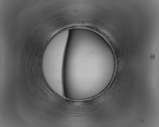 X0000091011169200708021400