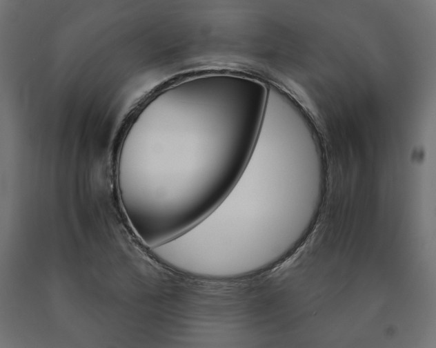 X0000091011172200708021400