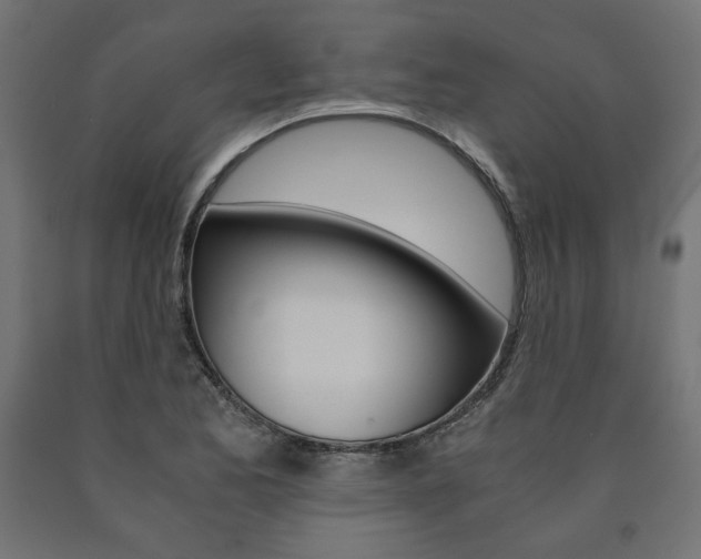 X0000091011173200708021400
