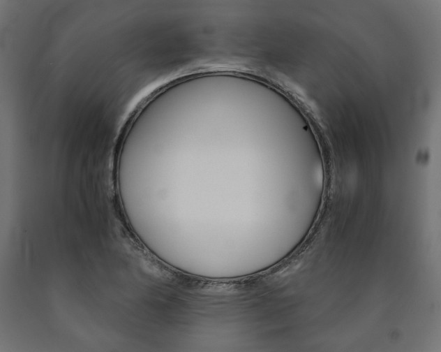 X0000091011174200708021400