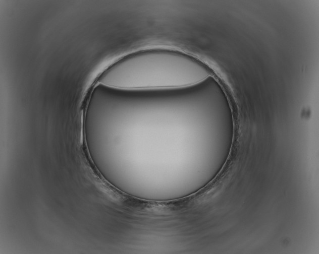 X0000091011175200708021400