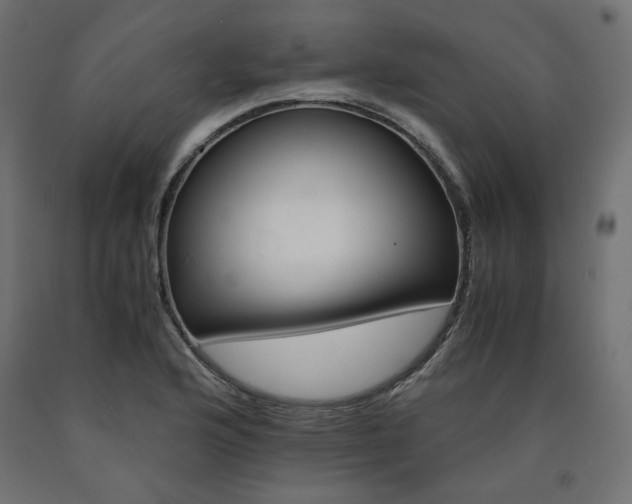 X0000091011176200708021400