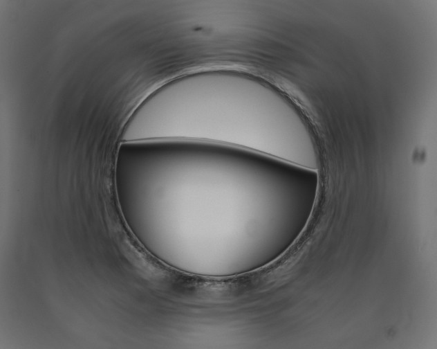 X0000091011177200708021400