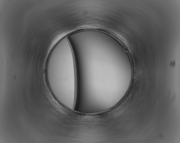 X0000091011179200708021400