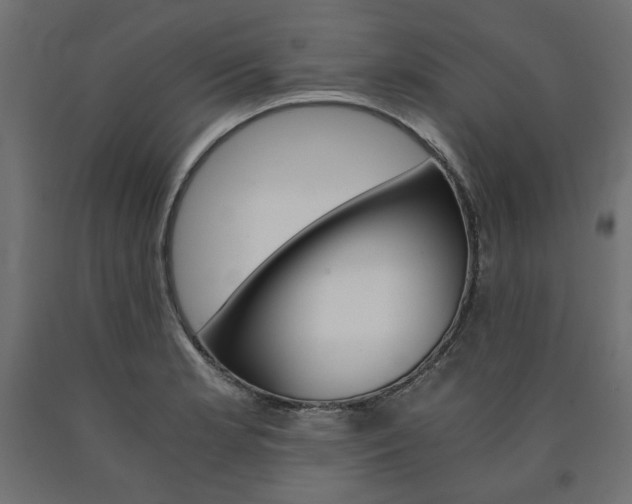 X0000091011181200708021400