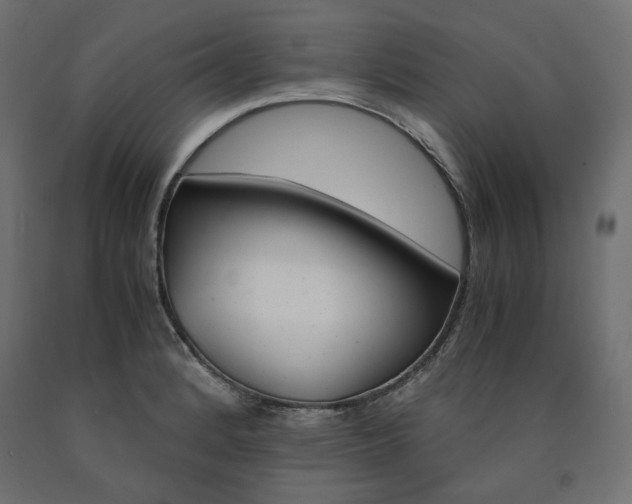 X0000091011184200708021400