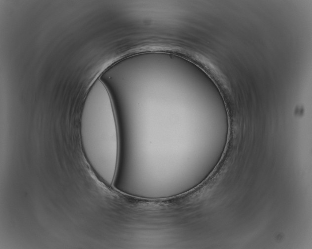 X0000091011185200708021359