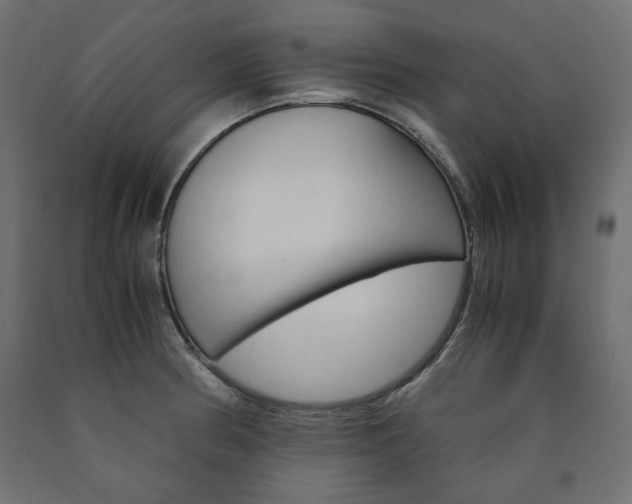 X0000091011186200708021359