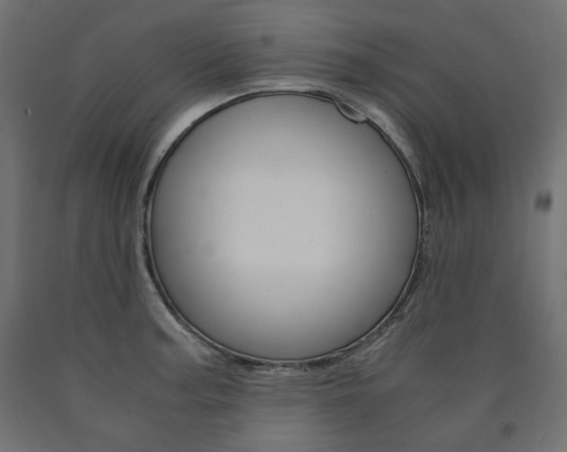 X0000091011187200708021359