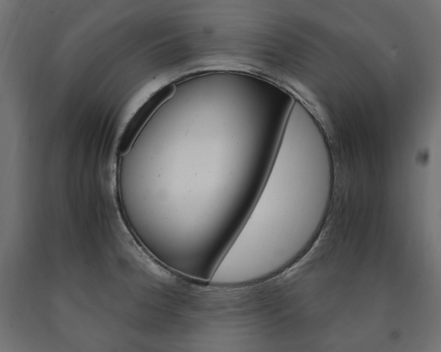 X0000091011188200708021359