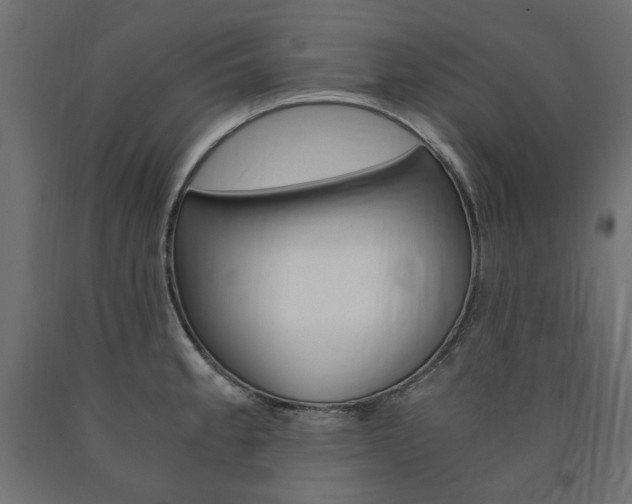 X0000091011189200708021359
