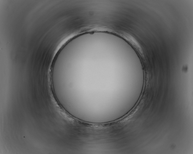 X0000091011190200708021359
