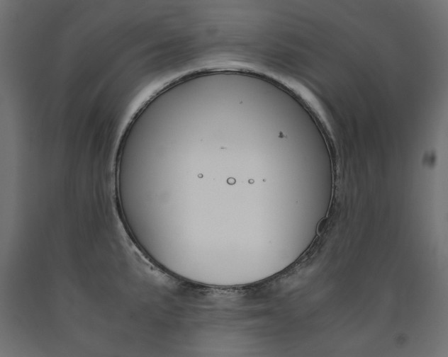 X0000091011191200708021359