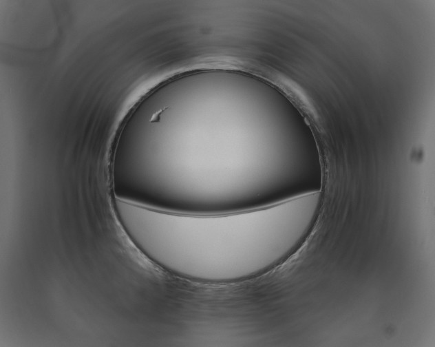 X0000091011192200708021359