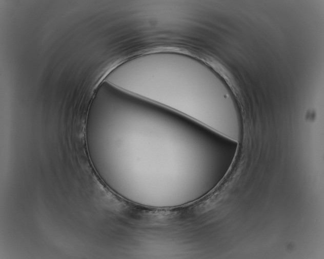 X0000091011193200708021359