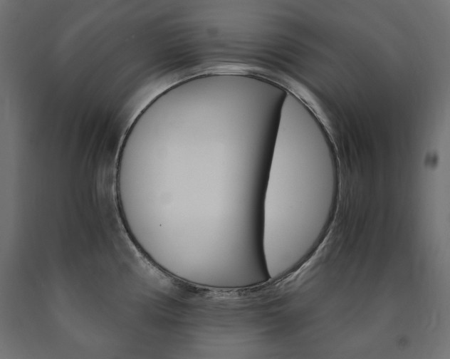 X0000091011194200708021359