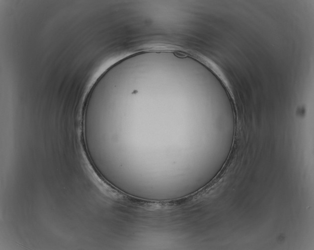 X0000091011195200708021359