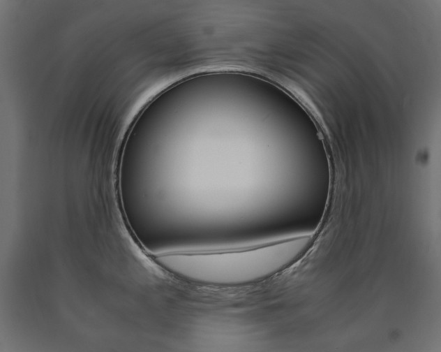 X0000091011197200708021359