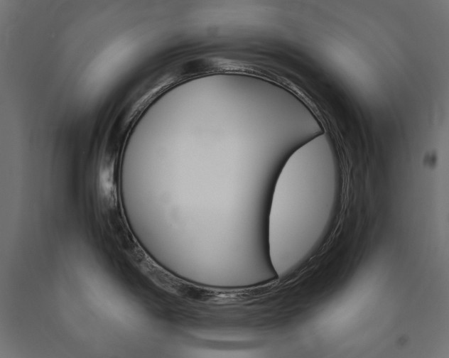 X0000091011198200708021359