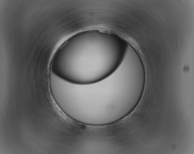 X0000091011200200708021359