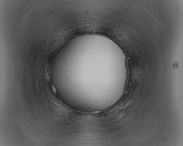 X0000091011202200708021359