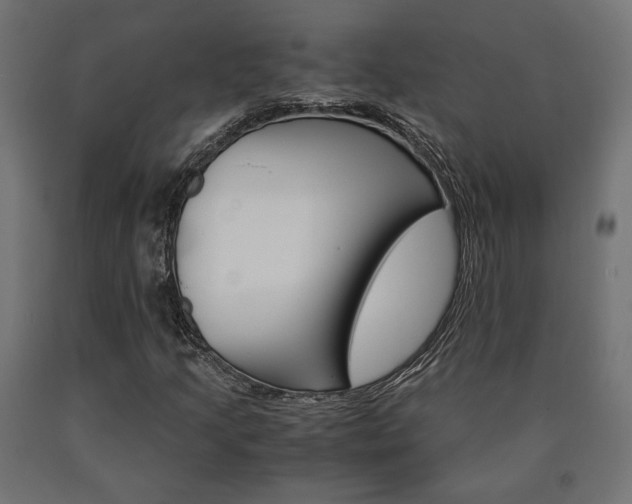 X0000091011205200708021359