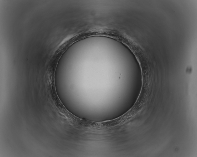 X0000091011206200708021359
