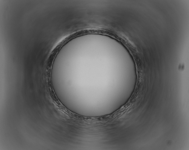 X0000091011208200708021359