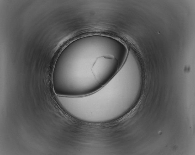 X0000091011210200708021359