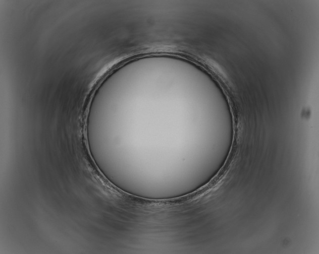 X0000091011212200708021359