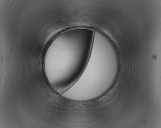 X0000091011214200708021359