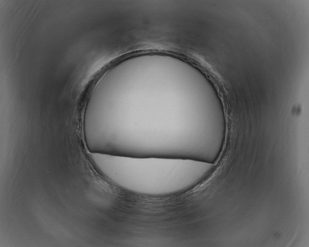 X0000091011215200708021359