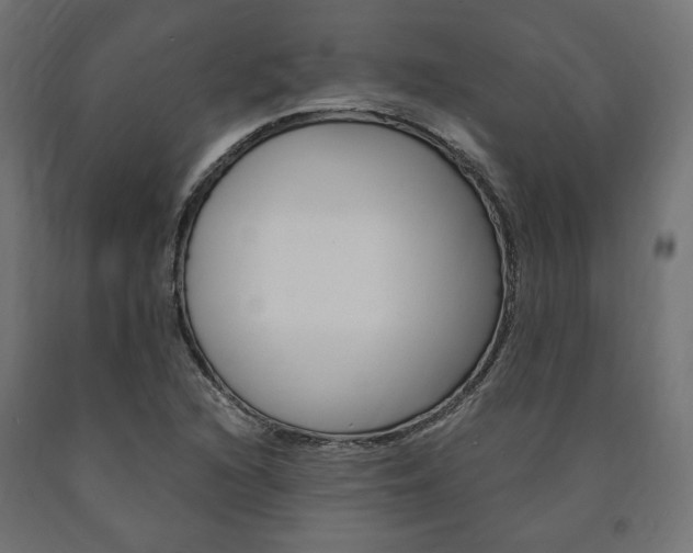 X0000091011216200708021359
