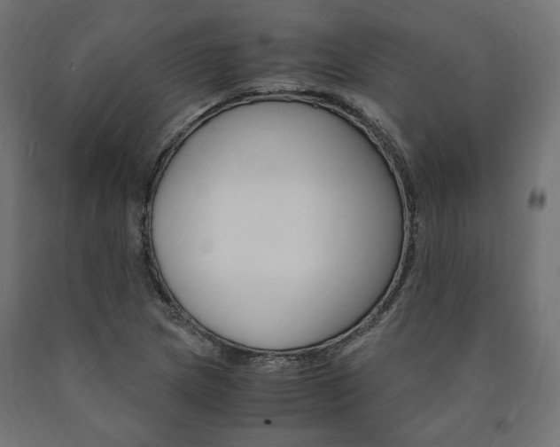 X0000091011217200708021359