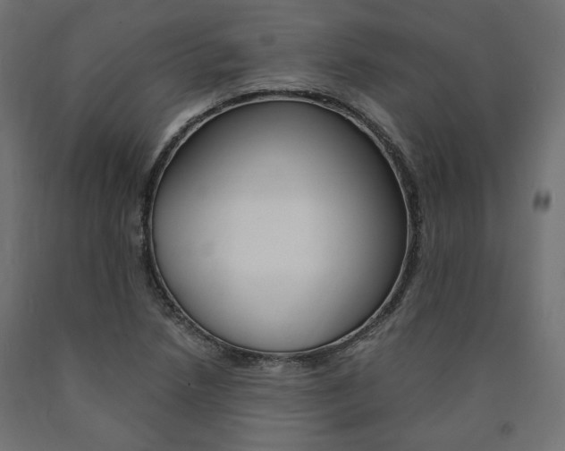 X0000091011218200708021359