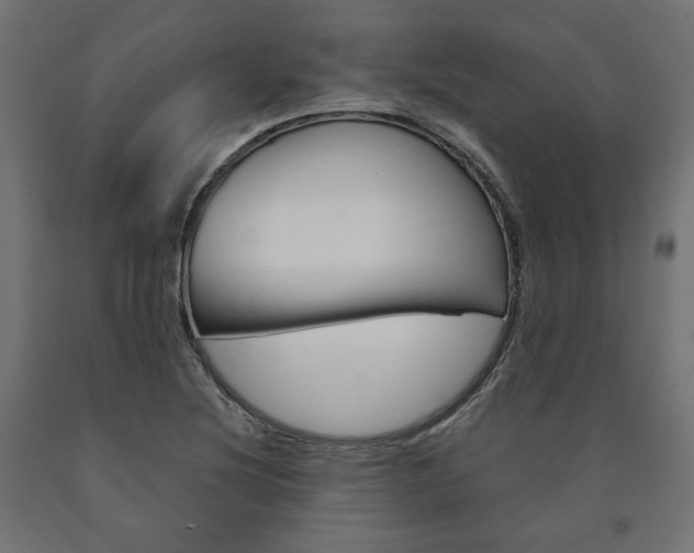 X0000091011220200708021359