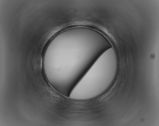 X0000091011221200708021359