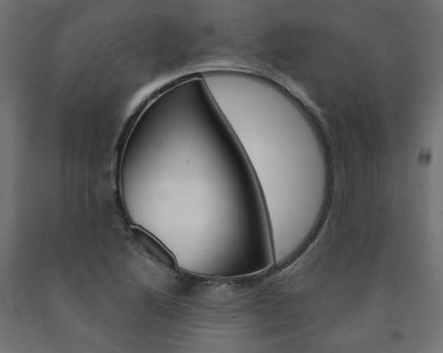 X0000091011222200708021359