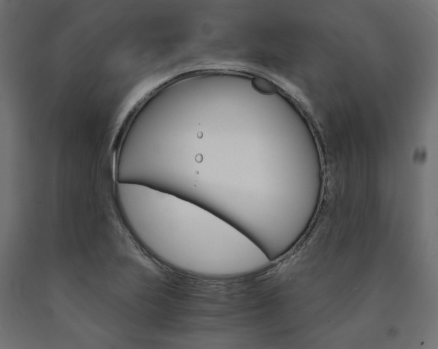 X0000091011223200708021359