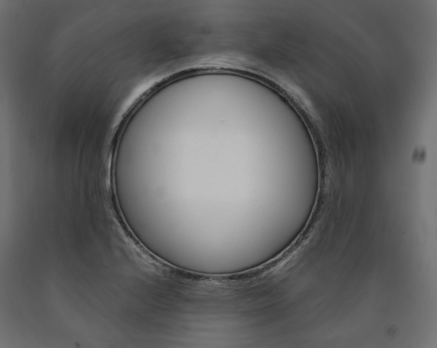 X0000091011224200708021359