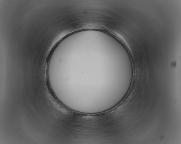 X0000091011227200708021359