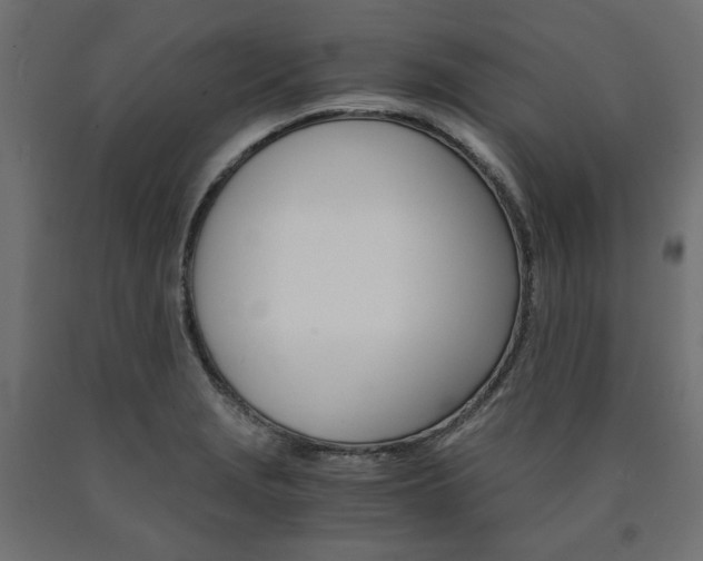 X0000091011229200708021359