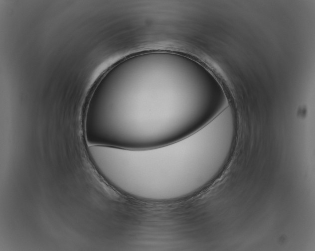 X0000091011230200708021359