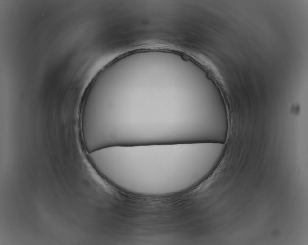 X0000091011231200708021359