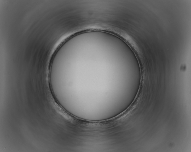 X0000091011232200708021359