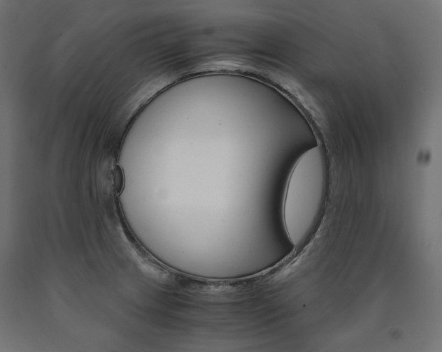 X0000091011233200708021359
