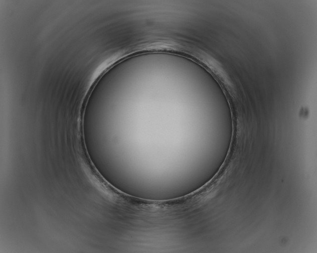 X0000091011234200708021359