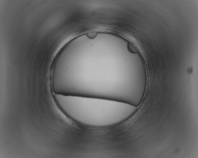 X0000091011235200708021359