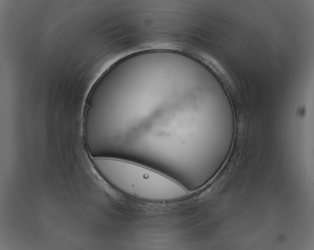 X0000091011236200708021359